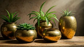 Your Room Needs Upcycled Brass Vessels For Plant Aesthetics