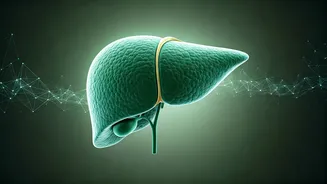 Related Stories banner