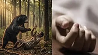 Related Stories banner