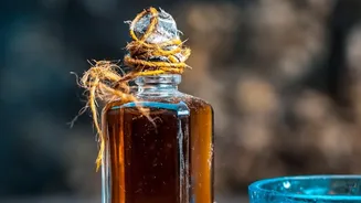 Why Traditional Cold-Pressed Mustard And Groundnut Oils Are Outperforming Refined Oils In Kitchens