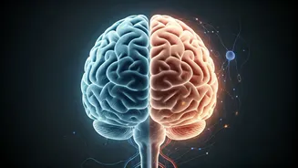Diabetes & Dementia: Unpacking the Surprising Brain Health Connection