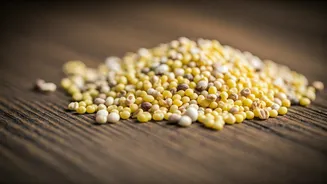 Seasonal Dining Is Giving Millets Fresh Respect