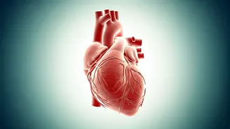 Guard Your Heart: Expert-Backed Strategies for a Healthier Life