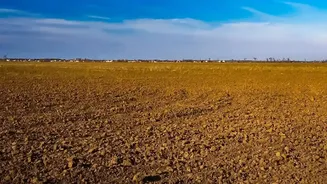 El Niño And Indian Agriculture: What The Climate Pattern Can Change