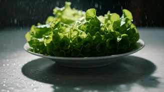 Monsoon Dining Has Entered Caution Mode