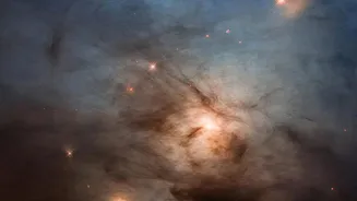 Andromeda's Rings Are Driving a Broader Slowdown in New Stars