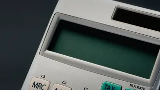 Income Tax Refund Processing Timelines Explained For Taxpayers Await Bank Transfers This Month
