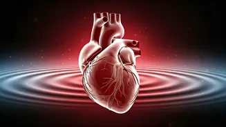 Beyond the Gym: Hidden Heart Risks for the 'Fit' Explained