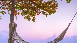 How to experience serene island hopping between Havelock and Neil Islands this autumn season