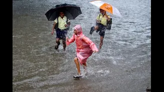 IMD Warns Of Below-Average Monsoon Rains In July After India Sees 5th Driest June Since 1901
