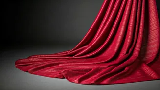 Saree Sensations: Iconic Bollywood Looks for You!