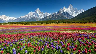 Exploring the Rare Beauty of the Himalayas: Flowers and Treks