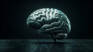 Creator Economy Needs A Smarter AI Playbook