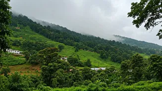 Escape The Heat In North India's Rainy Hills