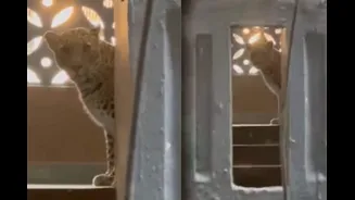 Related Stories banner