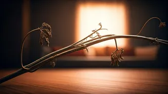 10 Subtle Habits Slowly Undermining Your Marriage: A Guide to Saving Your Relationship