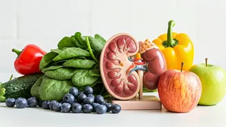 Kidney Health: Foods to Eat & Avoid for Optimal Kidney Function