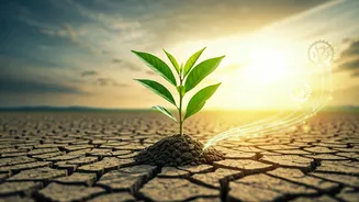 India's Climate Conversation Is Growing