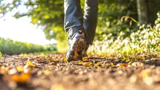 A beginner's guide to walking workouts