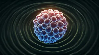 Related Stories banner