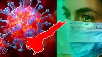 Andhra Pradesh: 19కి చేరిన కరోనా కేసులు.. కడప జిల్లాలోనే 8 పాజిటివ్‌ కేసులు