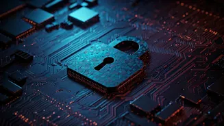 Unlocking Web Access: The Bot Verification Process Explained