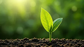 Choose Green, Live Better