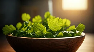 Coriander Makes Homegrown Food Feel Possible