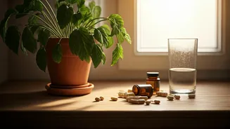 The Hidden Vitamin D Deficiency: Why Sunny Countries Still Struggle