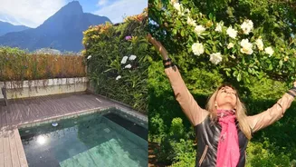 Com vista privilegiada, atriz de sucessos da Globo vive em cobertura charmosa cercada pela natureza
