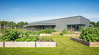 Redefining Life After 60: Flourishing Post-Retirement