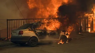 Chile declares emergency as wildfires kill at least 16, force thousands to flee