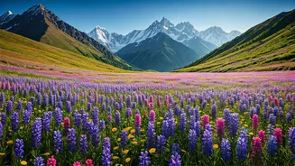 Trekkers Are Preparing For India’s Prettiest Bloom Rush