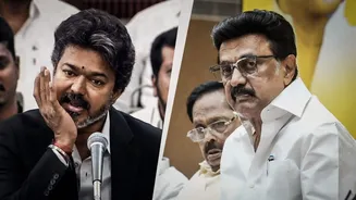 'Not intentional': Vijay after he's accused of body-shaming Stalin