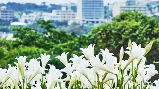 Why Native Plants Are Perfect For Busy City Lives