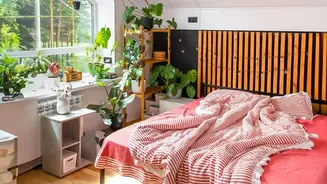 Budget monthly co living packages in Varkala attract remote creators seeking views