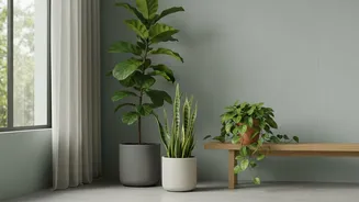Prune for Airflow Before Adding Another Layer of Greenery