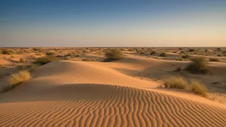 Gujarat Plans Asia’s First Desert-Themed Drive-Through Night Safari