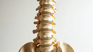 Relieve Back Pain: Try These Home Exercises