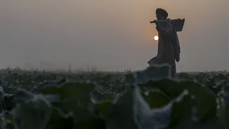 Weather update: Poor visibility causes 60 flight cancellations in Delhi, fog to persist in UP, MP