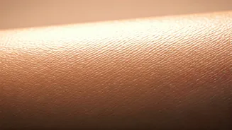 Related Stories banner