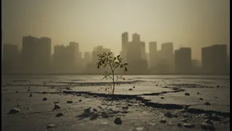 What We Can Learn from State of India's Environment 2026 about Air
