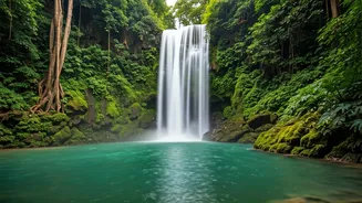 Where To Find Maharashtra's Most Beautiful Falls