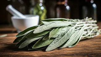 Sage's Ancient Wisdom: 5 Key Uses in Traditional African Healing