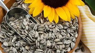 How to add sunflower seeds to your daily breakfast