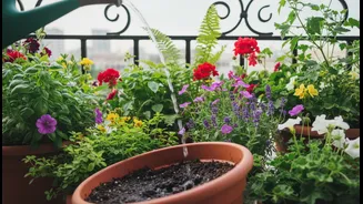Balcony Plants Thrive When Watering Follows Need, Not Habit