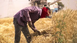 Summer in India: IMD predicts El Niño’s entry, reduction in monsoon rains as fear of drought rises