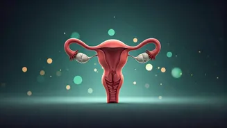 Related Stories banner