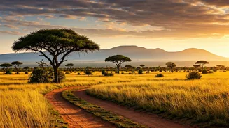 Uncover Africa's Budget-Friendly Beauty: 5 Stunning Destinations for Explorers