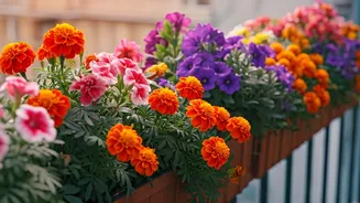 Related Stories banner